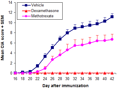 CIA - Prophylactic treatment with dexamethasone and methotrexate